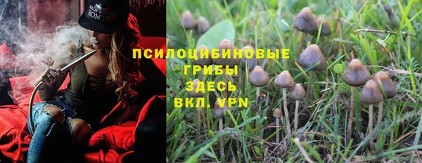 твердый Арсеньев