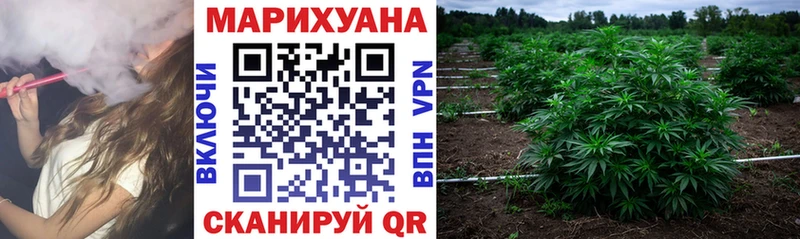купить наркоту  Пустошка  Канабис ГИДРОПОН 